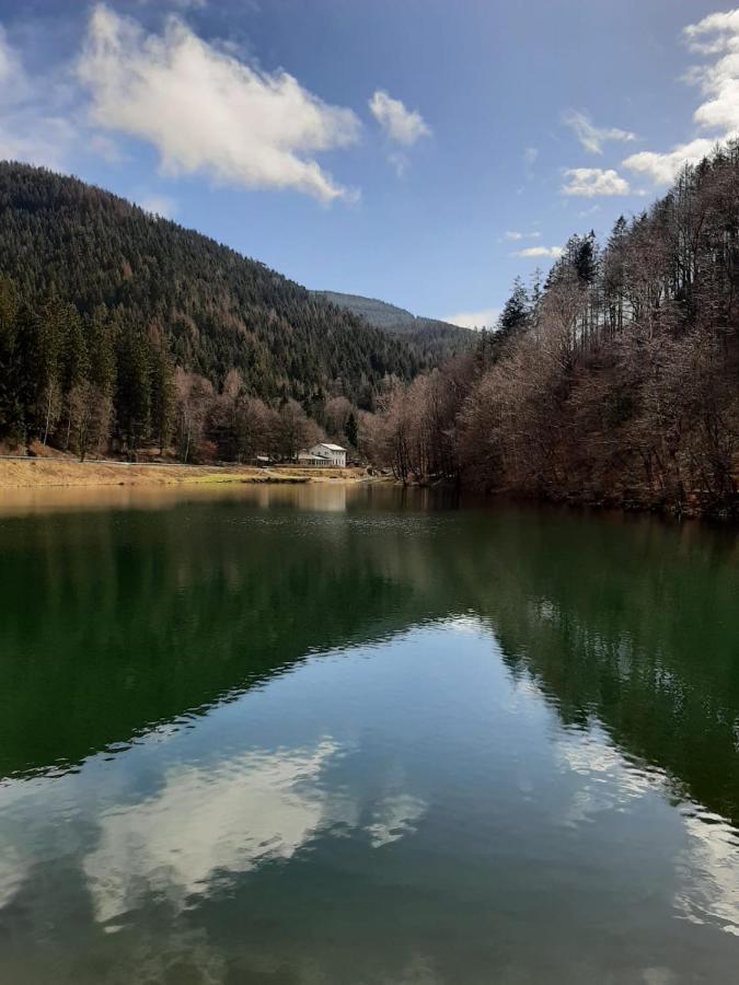 Bocksbergglueck In Hahnenklee, Endreinigung, Bezogene Betten, Handtuecher Inklusive ゴスラー エクステリア 写真