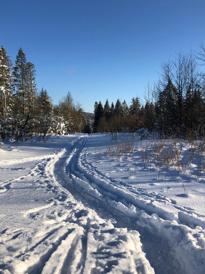 Bocksbergglueck In Hahnenklee, Endreinigung, Bezogene Betten, Handtuecher Inklusive ゴスラー エクステリア 写真